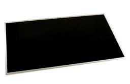 15.6IN Wxga BV HD LED LCD Panel (LVDS)