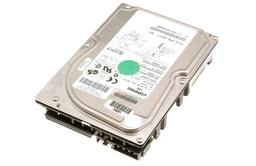 4.3GB Wide ULTRA2 Scsi Hard Drive